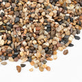 2.5 lbs Small Rocks for Plants, 1/5 Inch Gravel for Plants Drainage | Decorative Potting Pebbles for Indoor Plants, Vases, Bamboo, Succulent, Terrarium, Crafts, Cactus