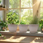 FGstyle 4 Pack Flower Pots,8 Inch Plants Pot,Planters Pot with Drainage Hole & Saucer,Modern Planters for Indoor Outdoor Plants,Decorative Resin Garden Pots for Outdoor Indoor Home Plants (Beige)