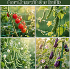 Miory Cucumber Trellis for Raised Beds, 32 x 63 Inch Metal U-Frame Garden Trellis for Climbing Plants Outdoor with Climbing Net, Plant Support for Cucumber Tomato Bean Pea