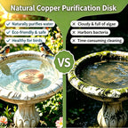 Bird Bath Copper Disk, 99.9% Pure Copper Disc to Keep Water Clean, Physical Safe Water Purification for Garden Birdbaths, Universal Fit for Concrete, Glass & Ceramic Bowls, All-Season Cleaner