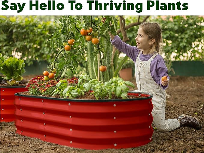 Plant & Plot Galvanized Raised Garden Beds Outdoor // 4×2×1 ft Planter Raised Beds for Gardening, Vegetables, Flowers // Large Metal Garden Box (Red)