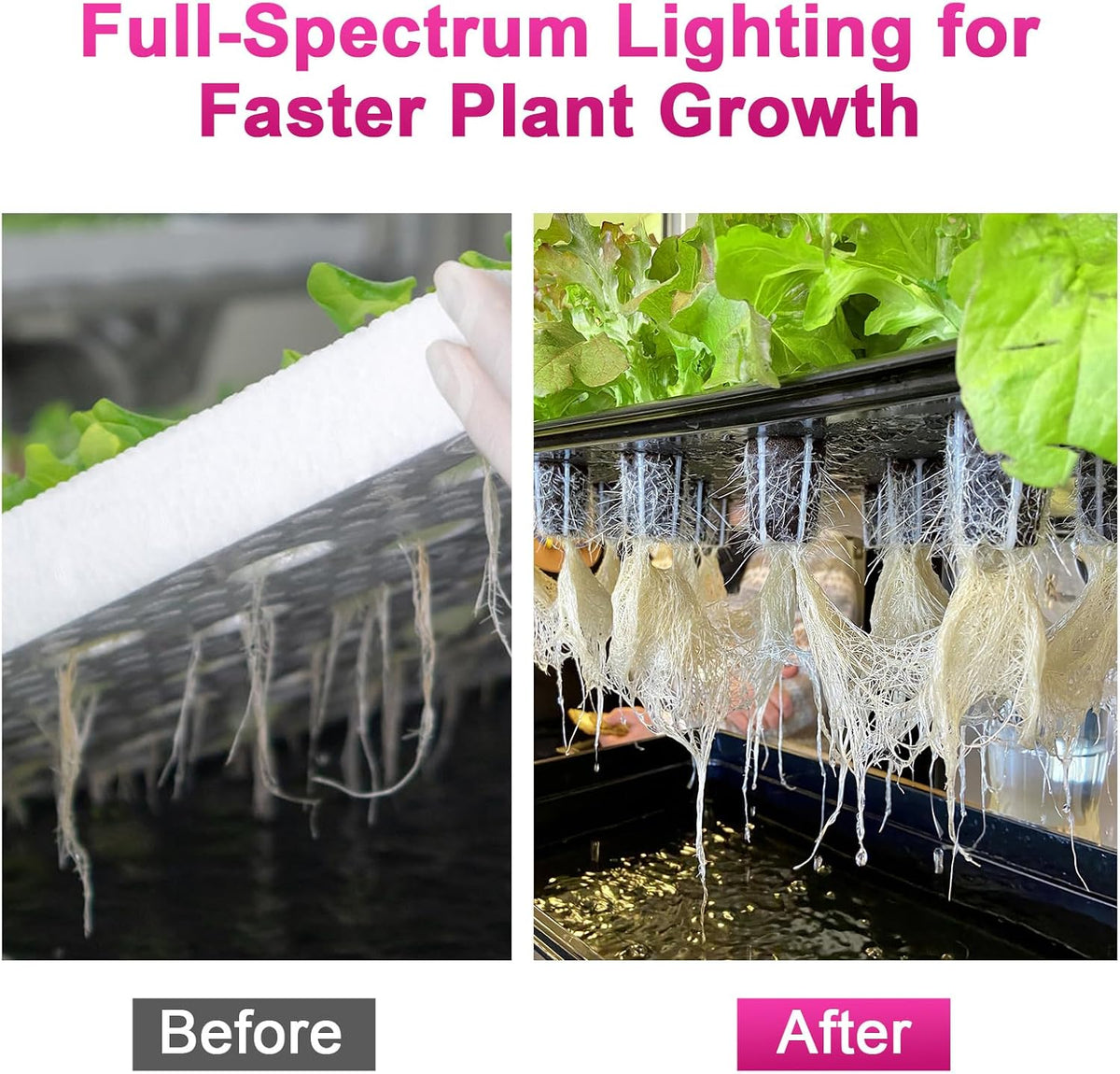 450w outdoor grow lights, full spectrum led plant shown in use