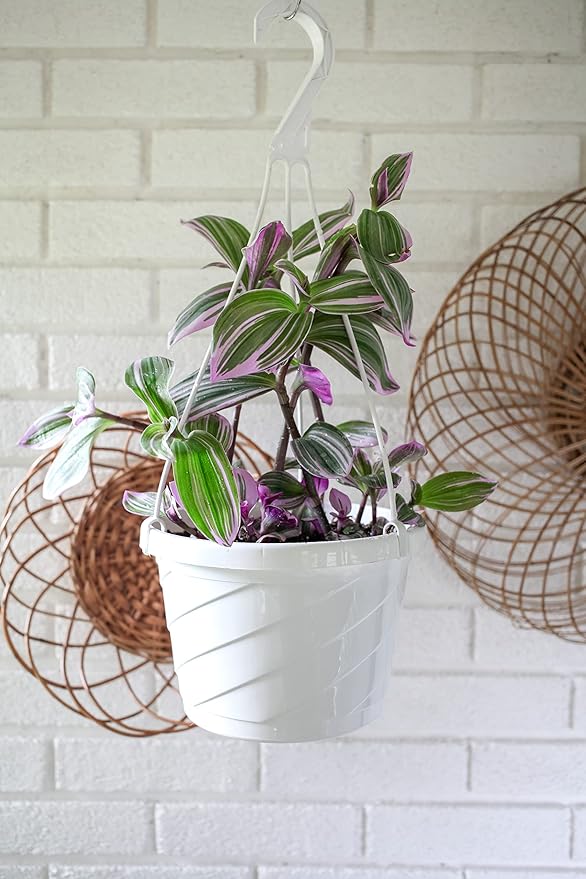 The HC Companies Euro Hanging Basket Planter Decorative 12-Inch Large Plastic Hanging Basket w/Swirl Design for Outdoor Plants | Green