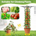 Garden Trellis for Climbing Plants Outdoor, 65 Inch Mushroom Top Trellis for Climbing Plants, Plant Trellis Support for Potted Plants Climbing Vine Rose Clematis Vegetable Trellis, 1 Pack (2)