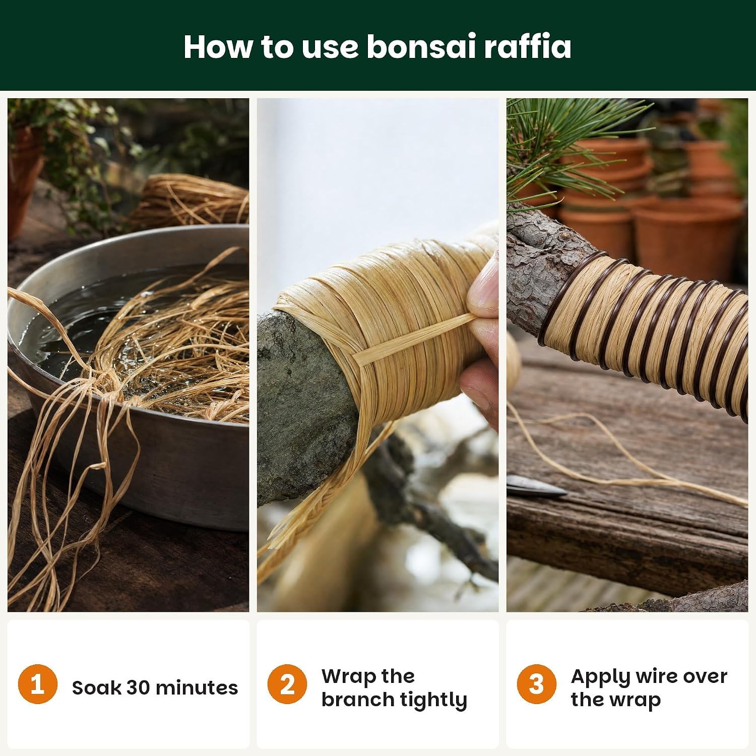 Bonsai Tree Raffia - Bonsai Plant Branch Protection + Bonsai Wiring Aid for All Tree Sizes