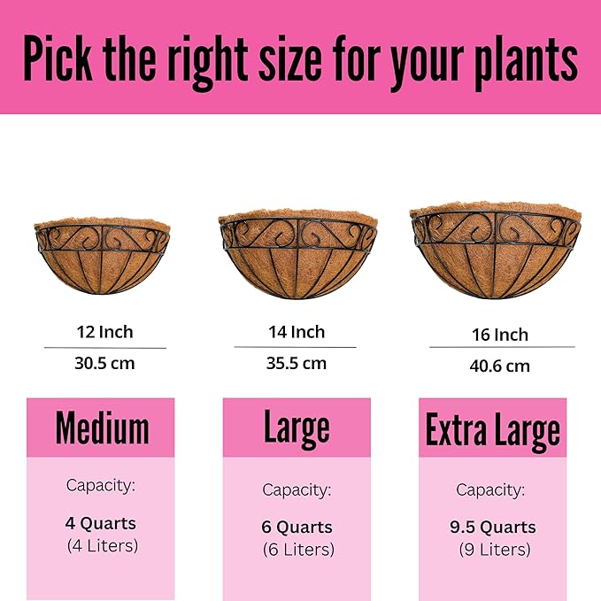 LaLaGreen Wall Hanging Planter, 2 Pack, 12 Inch Wall Mounted Flower Basket with Coco Liner for Outdoor Plants, Black Metal Wire Rail Herb Pot Holder Fence Railing Deck Porch Balcony Garden Patio Decor