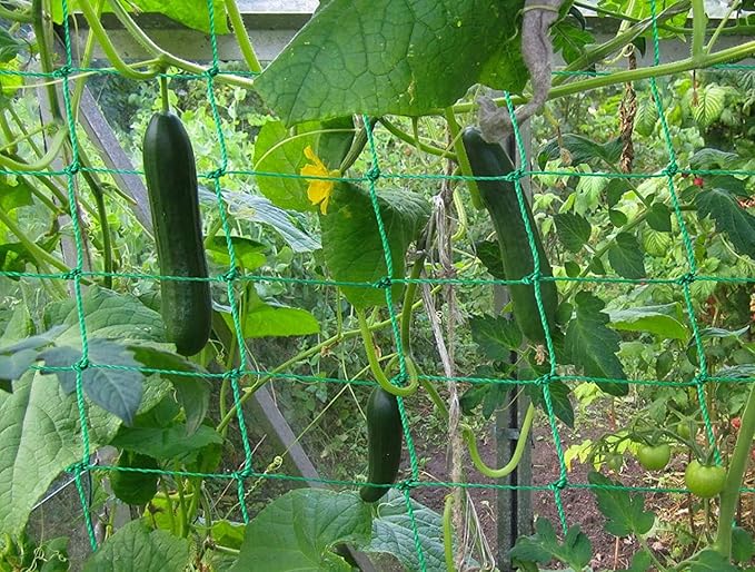 Trellis Netting for Climbing Plants - Heavy Duty Garden Trellis Netting for Cucumber, Vine, Fruits & Vegetables Tomato Plants Trellis Net, Climbing Vining Plants (1-Pack 3.3' x 6.6'Ft)