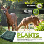 arborvitae netting wrap – deer protection for trees shown in use