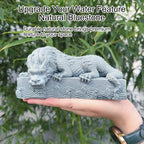 Outdoor Pond Spitters for Small Ponds, Garden Fountain Statue with Water Pump, Animal Water Feature for Koi Ponds Yard Landscape Decor
