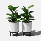 Veradek Demi Series Round Planter w/Stand for Porch/Patio | Durable Plastic-Stone Composite & Wooden Stand | Modern Décor for Tall Plants, Flowers