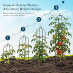 100% Metal Trellis for Climbing Plants Outdoor 6.6ft 1PK,Garden Obelisk Trellis for Potted Plants Indoor with Ties and Butterflies,Plant Support for Clematis Tomato Cucumber Ivy Rose