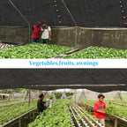 90% shade cloth for garden 10x20ft shade cloth on a desk or shelf