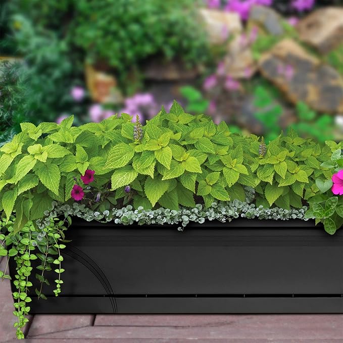 Southern Patio SPAT-MB3612BK 36-Inch Medallion Hanging Windowsill Garden Box Planter, Black (3 Pack)