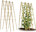 47''x18'' bamboo trellis for climbing plants outdoor, oltara, main product view