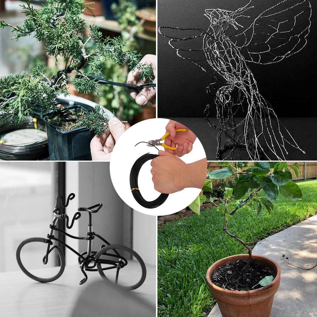 5 roll anodized aluminum bonsai training wire kit on a desk or shelf