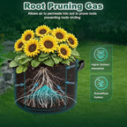 5 Pack 10 Gallon Thickened Grow Bags, Aeration Nonwoven Fabric Planting Bags with Handles, Heavy Duty 300G Garden Planter Pot for Tomato, Potato, Strawberry, Vegetable, Fruits and Flowers