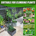 2 Packs Raised Garden Bed Tomato Planter Box with Trellis,44.8" Self-Watering Tomato Cage with Trapezoidal Trellis for Climbing Plants Flowers Vegetables Vine in Patio Garden Indoor Outdoor