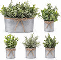 sureio 5 artificial eucalyptus fake plant set includes, main product view