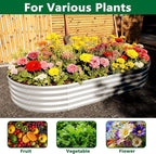 zizin 2 Pack Galvanized Raised Garden Bed Metal Oval Raised Garden Beds Outdoor Planter Box for Vegetables (8x4x1FT, Silver)