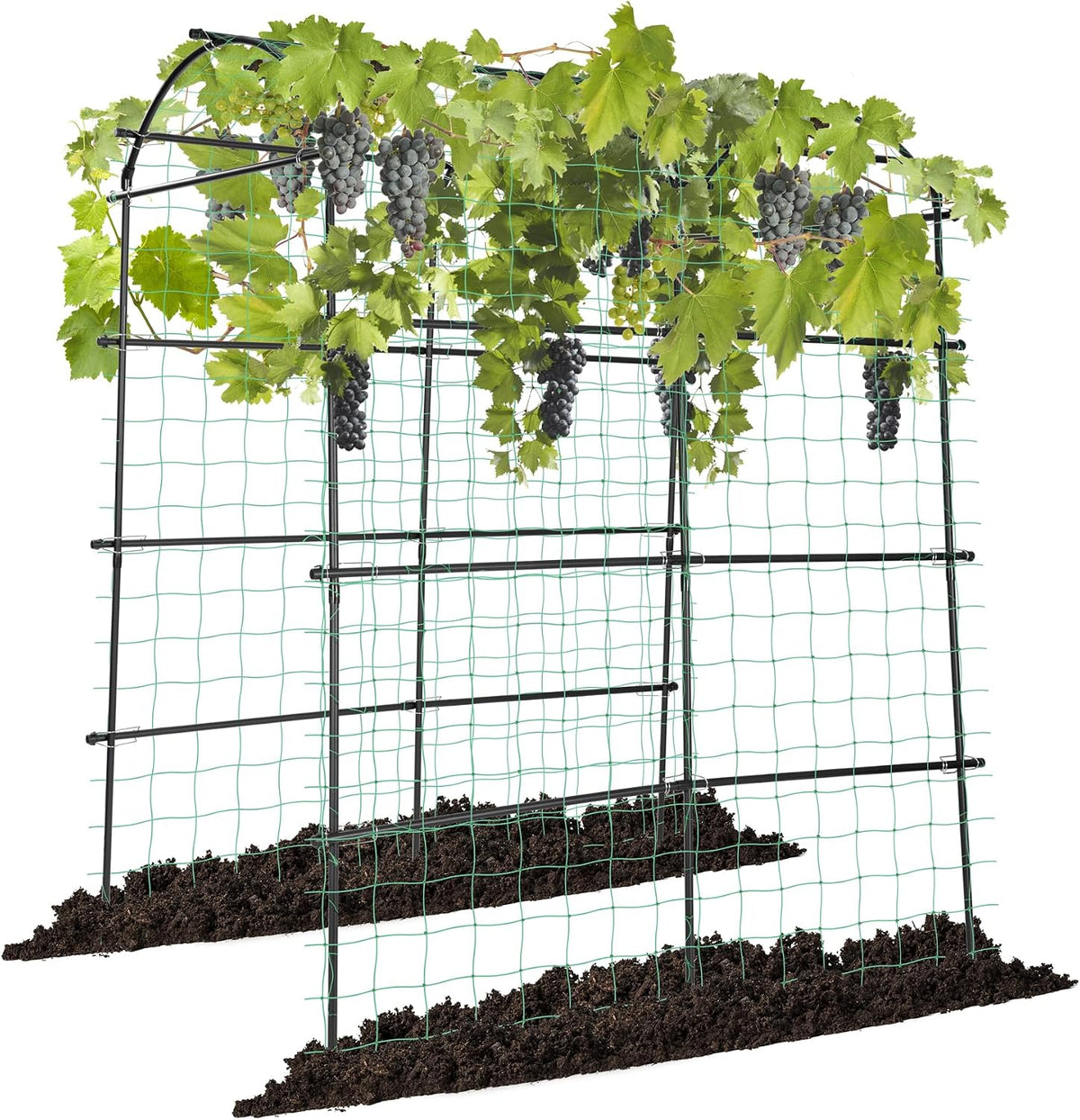 vivosun 7ft. arch trellis for climbing plants, 7, main product view