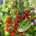 trellis netting, pdgrow heavy duty garden trellis netting, main product view