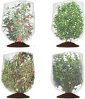Bird Netting for Garden Protection, CANAGROW 4 Pack Garden Plant Mesh Netting Covers Bags with Drawstring, Insect Bird Barrier Bug Netting for Fruit Blueberry Bushes Vegetable Flower (3.3x2.6FT)