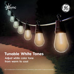 cync ge dynamic effects smart cafe lights, color, front angle view