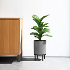 Veradek Demi Series Round Planter w/Stand for Porch/Patio | Durable Plastic-Stone Composite & Wooden Stand | Modern Décor for Tall Plants, Flowers