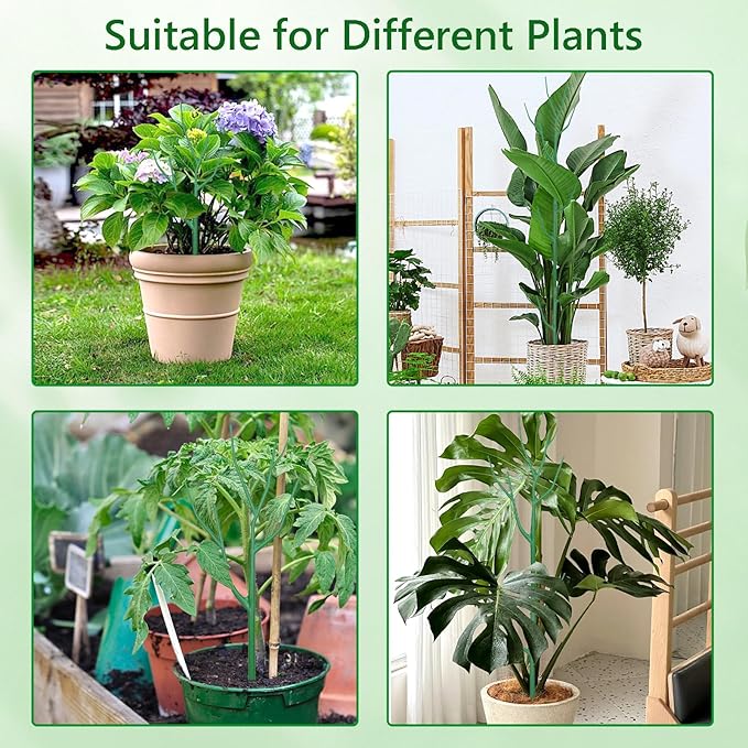 10 Pack Stackable Plant Supports Stakes, Sturdy Garden Trellis for Climbing & Vining Plants, Monstera, Pothos & Philodendron - Reusable Plant Stakes for Indoor & Outdoor Potted Plants