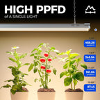 Barrina TX-S60 4FT Grow Light, 60W(420W Equivalent), with 660nm Red LEDs | High PPFD, Full Spectrum, Linkable to 4, Grow Lights for Seed Starting, Greenhouse, Vegetables with On/Off Switch 1 Pack