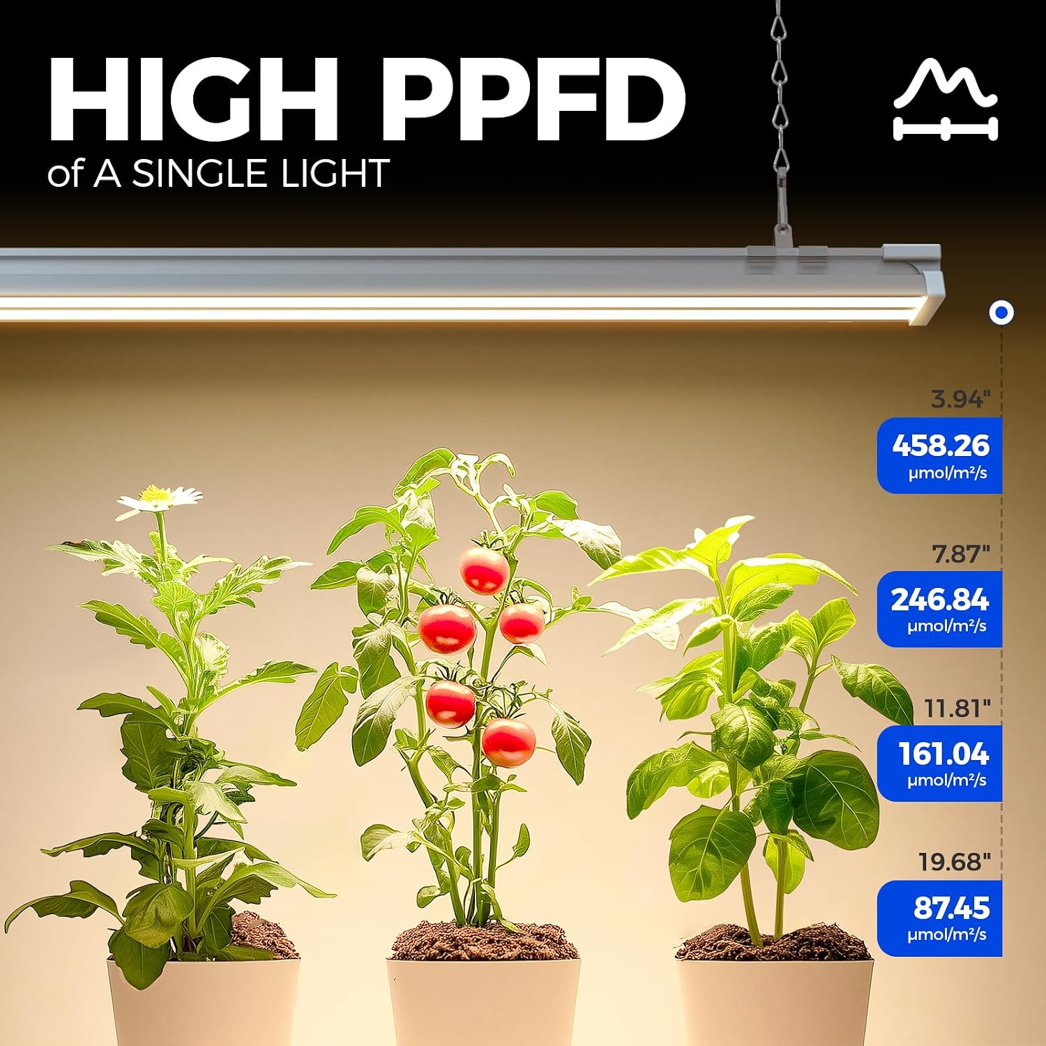 Barrina TX-S60 4FT Grow Light, 60W(420W Equivalent), with 660nm Red LEDs | High PPFD, Full Spectrum, Linkable to 4, Grow Lights for Seed Starting, Greenhouse, Vegetables with On/Off Switch 1 Pack