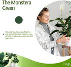Stackable Plant Support Stakes, Indoor & Outdoor Houseplant Stem Support, Garden Accessories, Trellis Alternative for Climbing & Potted Plants - Monstera (Dark Green), 10 Pack, 17" L