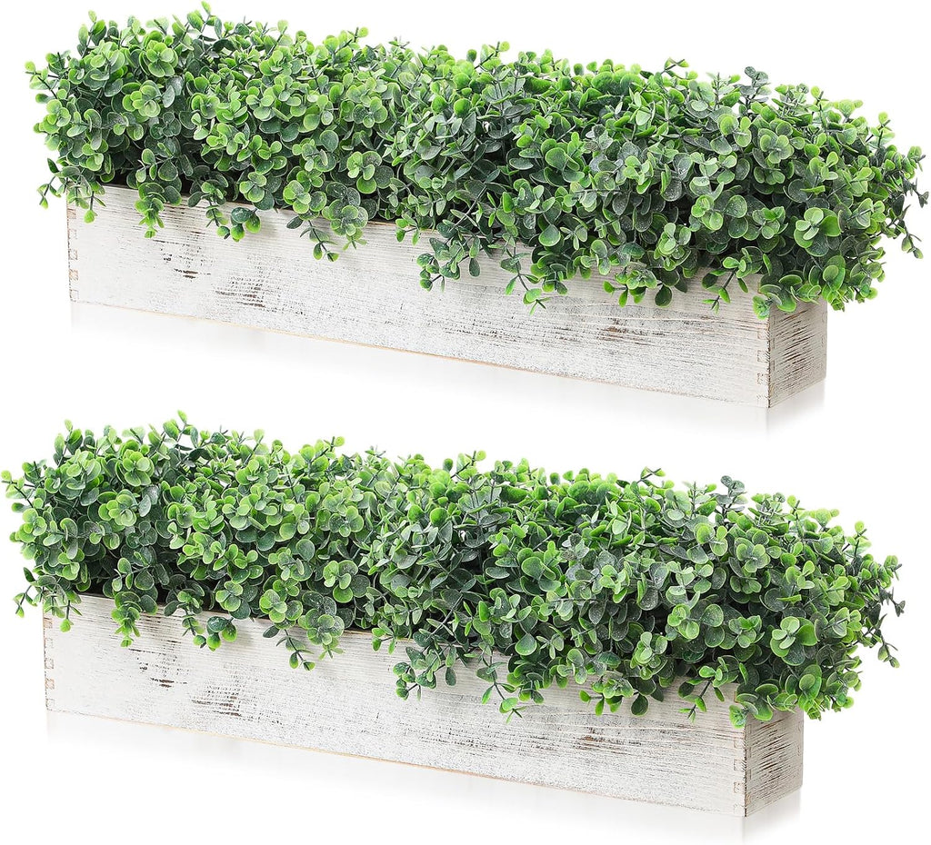 lyrow 2 pack eucalyptus plant,white,24 inch,white powdered round, main product view