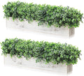 lyrow 2 pack eucalyptus plant,white,24 inch,white powdered round, main product view