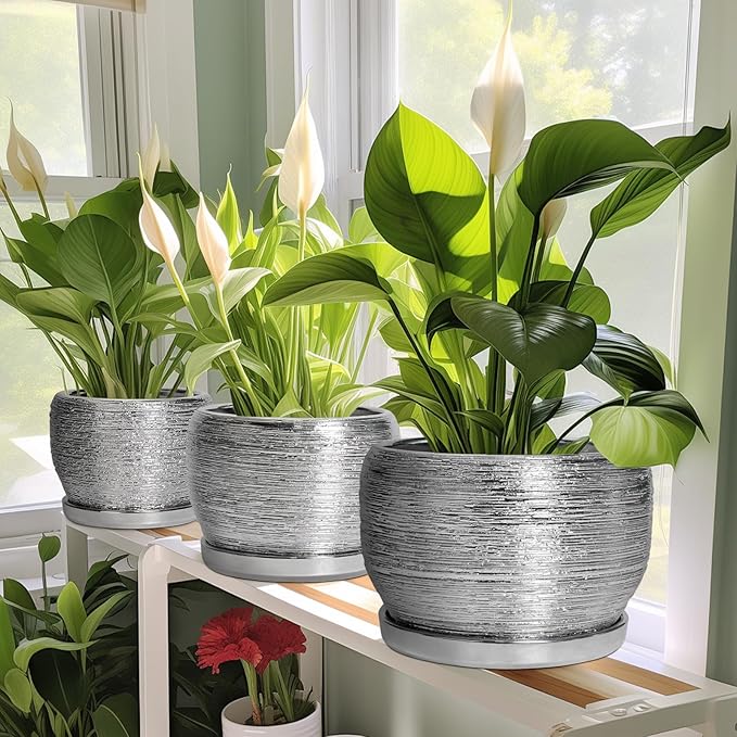 SQOWL Ceramic Pot for Plants - 10 Inch Planter Indoor, Round Large Planter Outdoor with Drainage Hole and Plant Saucer, Decorative Ceramic Flower Pot, Kitchen Decor, Housewarming Gifts, Silver