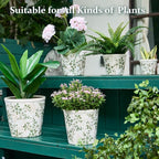 Ceramic Planter with Drainage Hole, Plastic Tray & Mesh, 6 Inch - Indoor/Outdoor Flower Pot for Orchids, Succulents, Green Floral Modern Farmhouse Décor for Home,Office and Garden, Ideal Gift