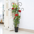 4 Pack 32'' Indoor Plant Trellis for Potted Plants Climbing, Outdoor Metal Garden Trellis Houseplants Flowers Vine Ivy, Wave Shape, Black
