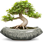 Bonsai Pots 18 Inch - Ceramic Succulent Pots, Large Bonsai Planter for Indoor Outdoor Plants, Decorative Plant Pot with Drainage Hole, Ceramic Flower Pot, House Decor, Plant Lover Gifts, Grey