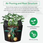 JERIA 12-Pack 15 Gallon Grow Bags, 300G Thickened Nonwoven Garden Pots,Heavy Duty Fabric Pots with Reinforced Handles