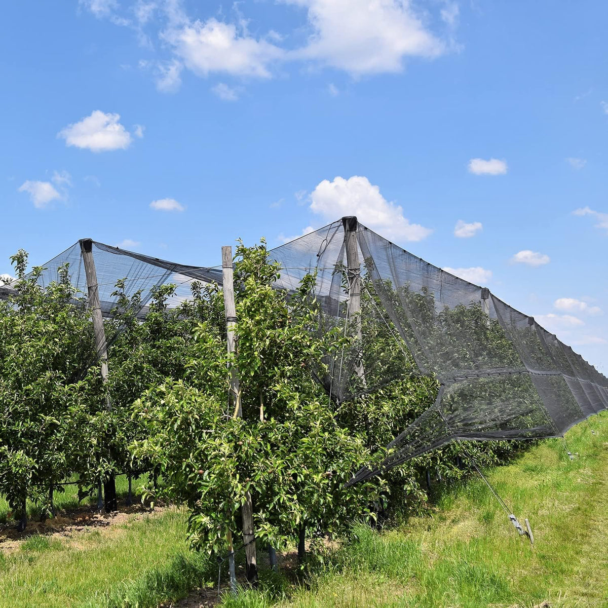 zonon mosquito netting garden insect mesh netting garden showing dimensions