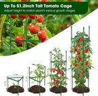 6 Pack Tomato Cages for Garden,Up to 51.2Inch Tomato Cage Trellis-Upgraded Hexagon Connector,Heavy Duty Adjustable Tomato Stake Support for Raised Garden Bed