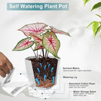 3 Pack Self Watering Planter Pots, 4.9 Inch African Violet Pots for Indoor Outdoor Windowsill Gardens, Plant Pot with Wick Rope and Reservoir