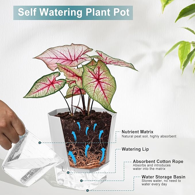 3 Pack Self Watering Planter Pots, 4.9 Inch African Violet Pots for Indoor Outdoor Windowsill Gardens, Plant Pot with Wick Rope and Reservoir