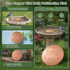2 Pack Bird Bath Copper Disk, 0.6mm Thick 99.9% Pure Copper Cleaning Disc Plate for Physical Safe Water Purification All-Season for Outdoor Wildlife Bird Bowls Birdbaths Solar