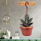 VIDELLY 4 Pieces Plastic Hanging Planters, 5.9 in Dia x 3.54 in H, Small Flower Plant Basket Pots Chain Holder Garden Decoration for Indoor and Outdoor Use, Beige White