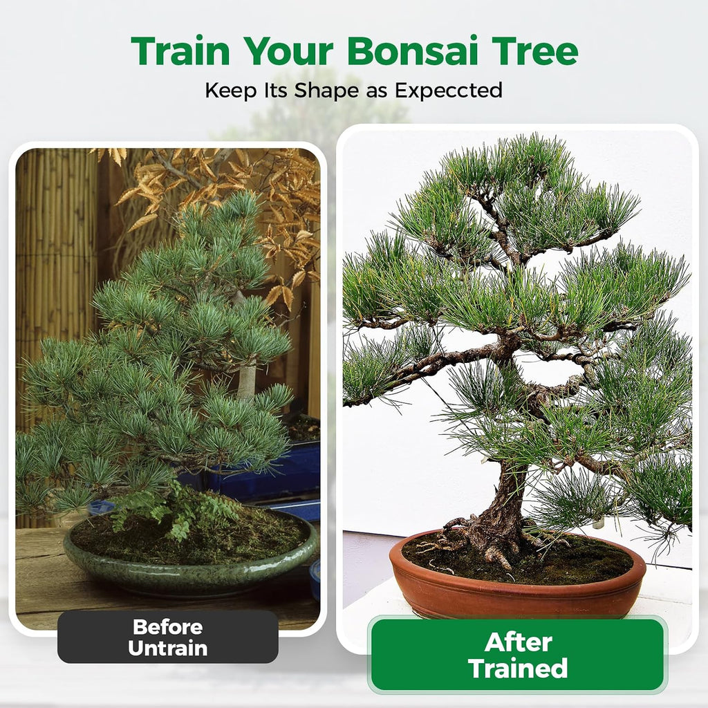 Bonsai Wire Kit with Cutter, Anodized Aluminum-189FT 7 Rolls 5 Sizes 1-3mm | 1.0, 1.5, 2.0, 2.5, 3mm, Bonsai Training Wire for Securing Thin Branches or Trunks, Ideal for Garden, Bonsai Tree Shaping