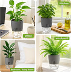 Planterhoma 8 Pack Self Watering Pots for Indoor Plants, 6 Inch Plant Pot Plastic Self Watering Planter for Orchid, African Violet, Small Clear Flower Pots with Drainage Holes and Wicking Rope, Gray
