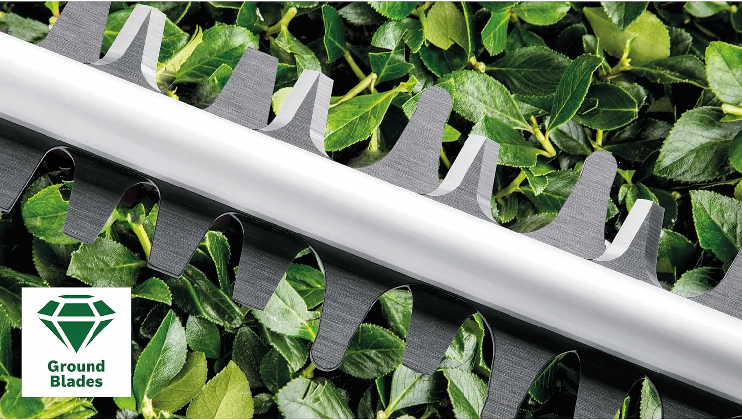 Bosch Home and Garden Hedge Trimmer - AdvancedHedgeCut 65 (500 W, Blade Length: 65 cm, for Large Hedges, Cutting Capacity: 34 mm, in Cardboard) 06008C0801 Green