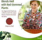 Stackable Plant Support Stakes, Indoor & Outdoor Houseplant Stem Support, Garden Accessories, Durable Trellis Alternative for Climbing & Potted Plants - Begonia Red, 10 Pack, 17" L