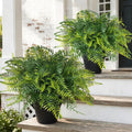 2set artificial fern potted plant for front door, main product view
